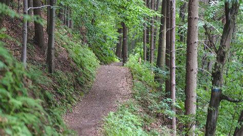 Isle Royale Hiking The Ultimate Guide