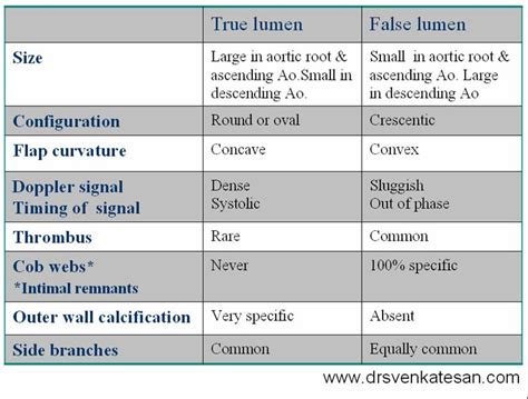 The Aortic Dissection What You Wanted To Know About True And False