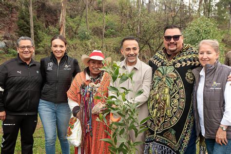 Emprende Metepec Jornadas De Reforestaci N