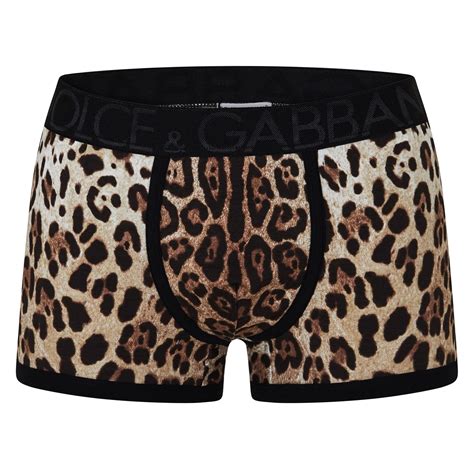 Dolce And Gabbana Leopard Print Boxers Men Boxer Briefs Flannels