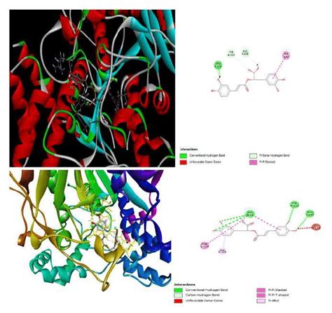 Molecular Interactions Of Rosmarinic Acid With AChE And BChE Enzymes