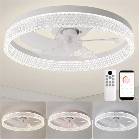 Ceiling Fans with Lights and Remote, 20 Inch Ceiling Nepal | Ubuy