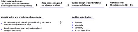 Machine Learning In Antibody Discovery And Engineering