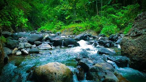 Relaxing River Sound Water Stream Of A Peaceful River In The Middle Of