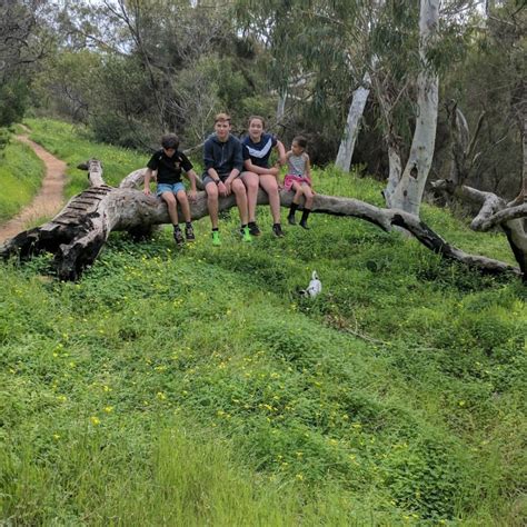 Spalding Park Golf Club In Spalding Western Australia Clubs And Pubs