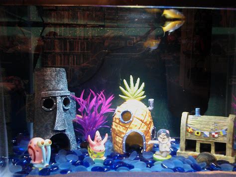 Spongebob fish tank | Fish tank themes, Fish tank, Freshwater aquarium fish