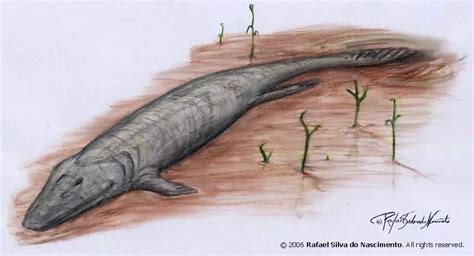 Tiktaalik | Dinosaurs - Pictures and Facts