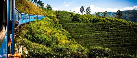 Things To Do In Nuwara Eliya How Can I Get There Gecko Routes