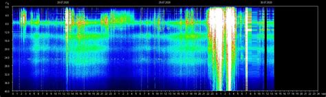 Schumann Frequenz Monitor Neuro Programmer