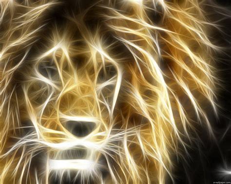 Lion Digital Hd Wallpaper Peakpx