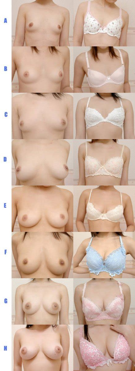 Tits B Cup Size Chart