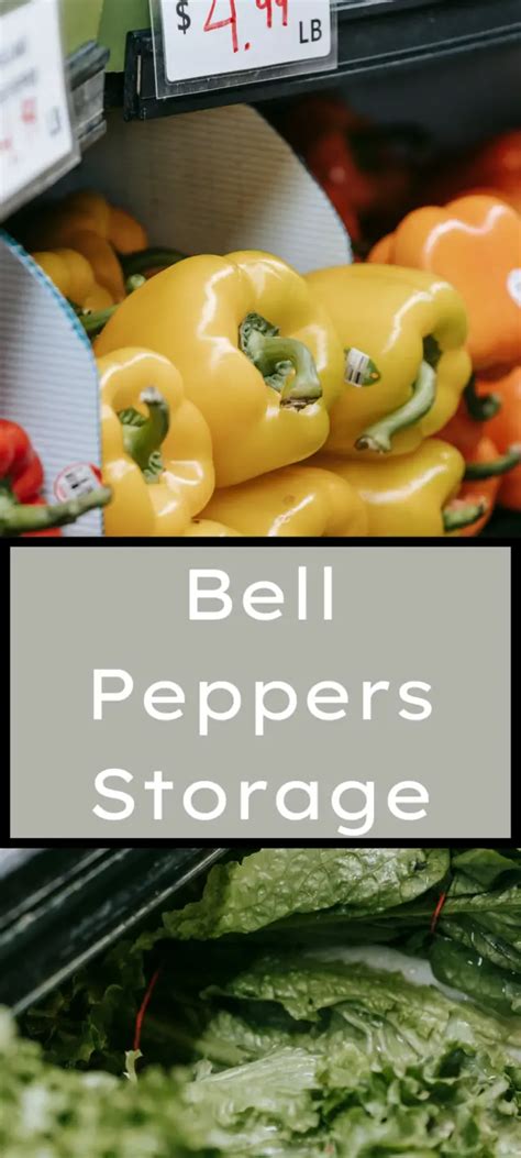 Bell Peppers Storage The Secrets To Maximum Freshness