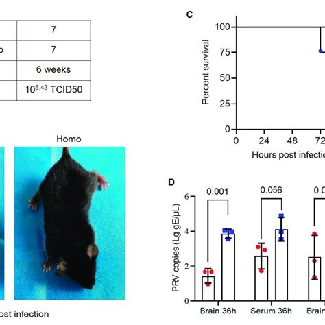 Viral Challenge Experiment 2 In Nectin1 F129A Mutant Mice A