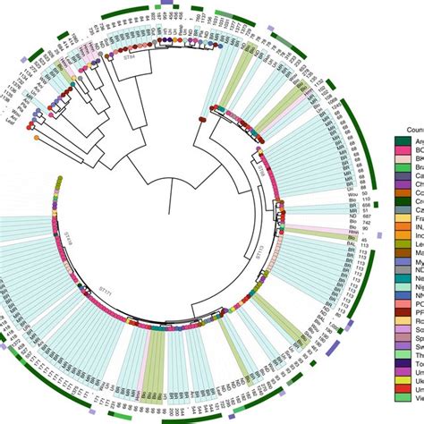 Core Genome Characterization Of K Pneumoniae Isolates The Phylogenetic