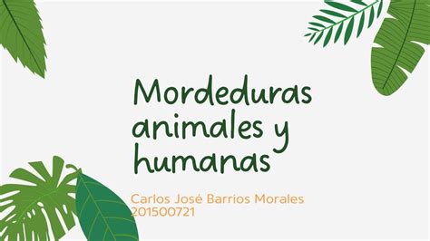 Mordeduras animales y humanas envenenamientos Bárbara Pamela Alonzo