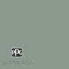 PPG UltraLast 5 Gal PPG1134 5 Birch Forest Matte Interior Paint And