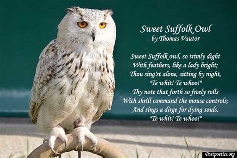 Short Owl Love Poems By Famous Poets That Rhyme