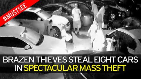 Organised Crime Gang Caught On Camera Stealing Eight Cars From Dealership World News