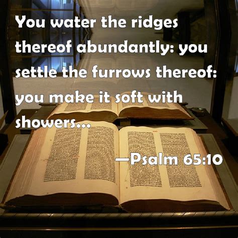 Psalm 65 10 You Water The Ridges Thereof Abundantly You Settle The