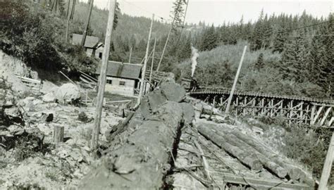 The First Estacada Bridge Was Built In 1859 Historic Maps