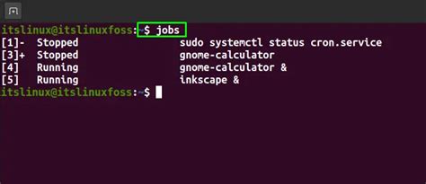 Managing Processes In Linux Jobs Fg Bg Nohup Kill