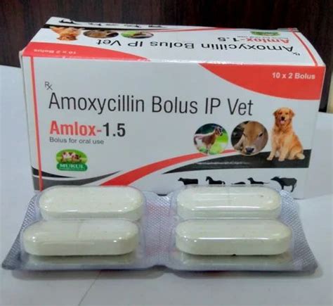 Amlox Vet Bolus For Clinical Packaging Type Strip At Rs In