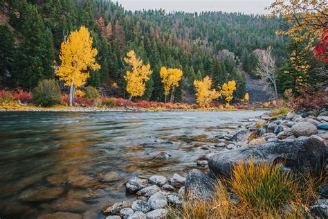 Salmon River Scenic Byway Road Trips In Central Idaho