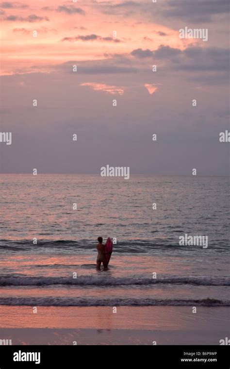 Pink flamingo at sunset hi-res stock photography and images - Alamy