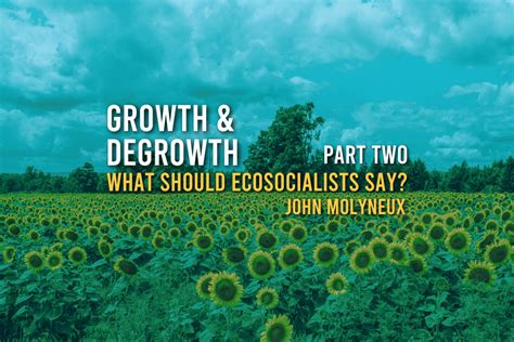 Growth And Degrowth What Should Ecosocialists Say Part Two Rebel