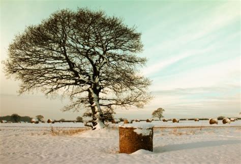 Free Images Mountain Snow Cold Cloud Sky White Sunlight