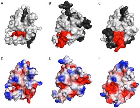 Identification Of Novel Small Molecule Inhibitors Against Ns2bns3