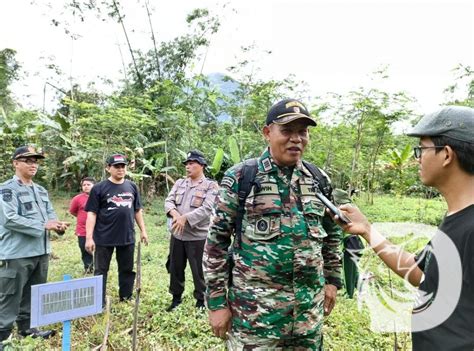 Perhutani Kph Probolinggo Gelar Aksi Tanam Bibit Pohon Di Gunung Puji