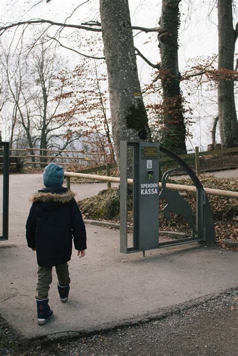 Erlebniswanderung Im Wildpark Feldkirch