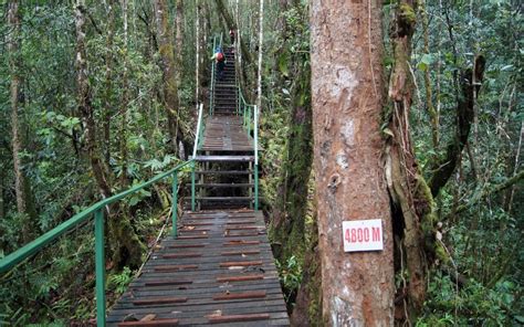 Familiarization Trip To Trek Mt Trus Madi Sabah Matta