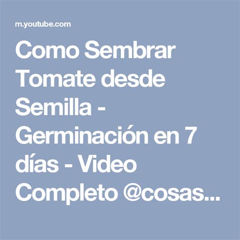 Como Sembrar Tomate Desde Semilla Germinación En 7 Días Video Completo Cosasdeljardin