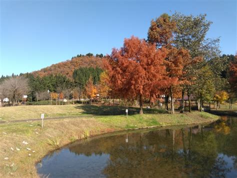 トキっ子スタッフ調査隊！奥只見レクリェーション都市公園 響きの森公園に行ってきました！｜トキっ子くらぶ にいがた子育て応援団｜グローカル