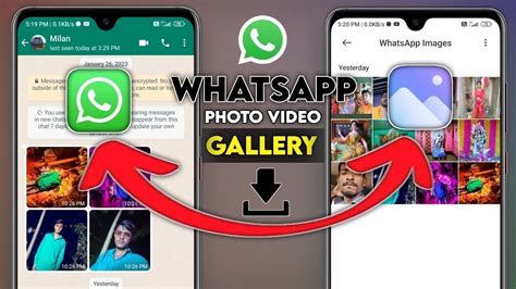 Whatsapp Photos Videos Not Showing In Gallery Fix Whatsapp Photo Not