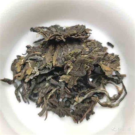 澜沧古茶2022年景迈古粗橡筋饼普洱茶品质特点怎么样 爱普茶网 最新茶资讯网站 https ipucha