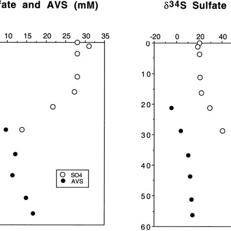 The Depth Distributions Of Sulfate And Avs Concentrations And Their Download Scientific Diagram