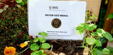 Silver Gilt Medal For Plants Routes And Branches Sparsholt College