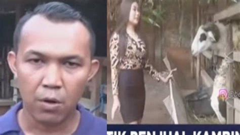 Penjual Kambing Di Bantul Pakai Jasa Spg Promosikan Hewan Kurban Kini