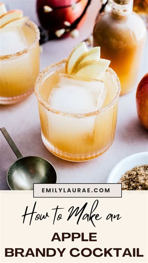 Spiced Apple Brandy Cocktail - Emily Laurae