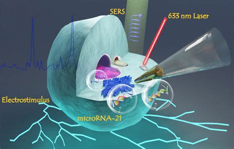 Glass Nanopipette Based Plasmonic Sers Platform For Single Cell