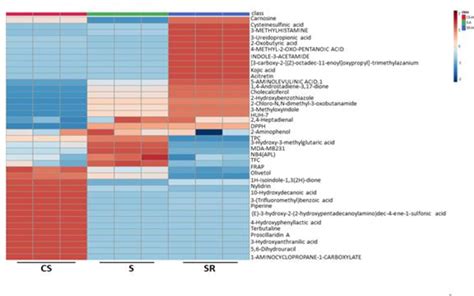 Figure 7 From METABOLITES PROFILING AND IN VITRO ANTICANCER AND