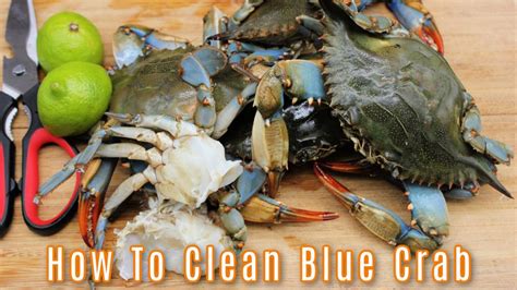 How To Clean Blue Crabs The Best Way To Clean Blue Crabs Episode