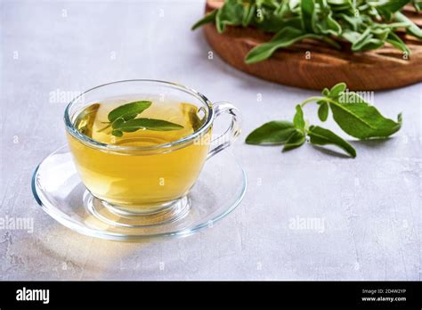 Fresh Natural Sage Herbal Tea In Glass Cup Stock Photo Alamy