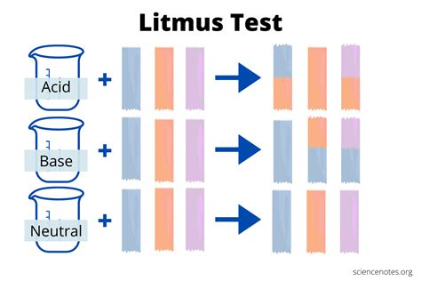 Litmus Paper Test Important Acid Base Indicator