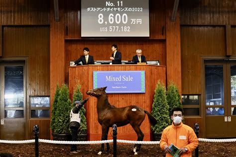 ダービー馬・ドウデュースの半弟が8600万円で落札 競馬ニュースなら競馬のおはなし