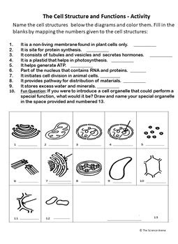 Identifies A Cells Location In The Worksheet