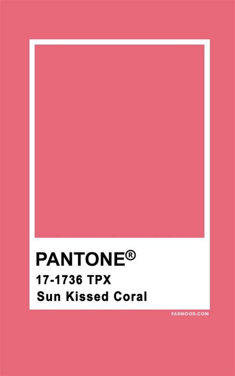 Pantone Sun Kissed Coral 17 1736 Color Palette